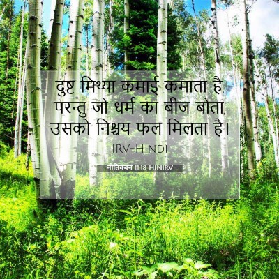 नीतिवचन 11:18 HINIRV बाइबल आयत इमेज