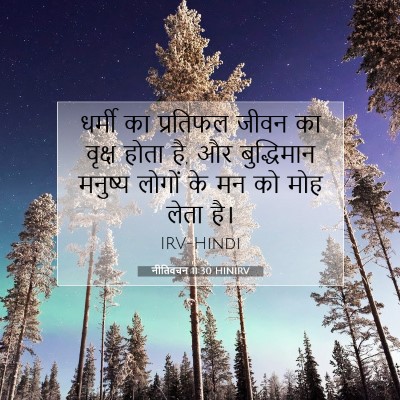 नीतिवचन 11:30 HINIRV बाइबल आयत इमेज