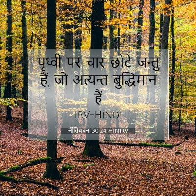 नीतिवचन 30:24 HINIRV बाइबल आयत इमेज