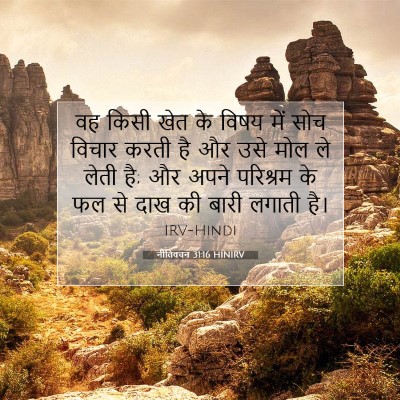 नीतिवचन 31:16 HINIRV बाइबल आयत इमेज