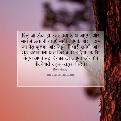 सभोपदेशक 12:5 HINIRV बाइबल आयत इमेज