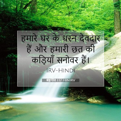 श्रेष्ठगीत 1:17 बाइबल आयत की व्याख्या