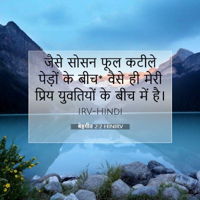 श्रेष्ठगीत 2:2 HINIRV बाइबल आयत इमेज