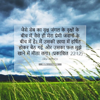 श्रेष्ठगीत 2:3 HINIRV बाइबल आयत इमेज