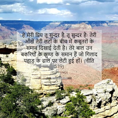 श्रेष्ठगीत 4:1 HINIRV बाइबल आयत इमेज