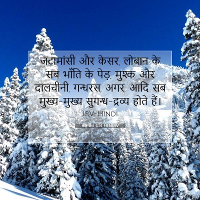श्रेष्ठगीत 4:14 HINIRV बाइबल आयत इमेज