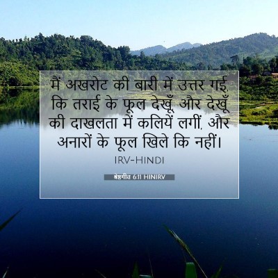 श्रेष्ठगीत 6:11 HINIRV बाइबल आयत इमेज