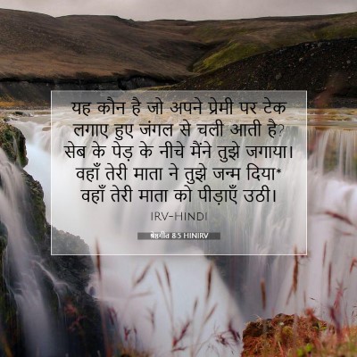 श्रेष्ठगीत 8:5 HINIRV बाइबल आयत इमेज