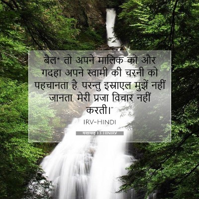 यशायाह 1:3 बाइबल आयत की व्याख्या