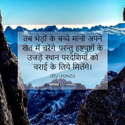 यशायाह 5:17 HINIRV बाइबल आयत इमेज
