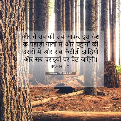 यशायाह 7:19 बाइबल आयत की व्याख्या