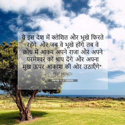 यशायाह 8:21 HINIRV बाइबल आयत इमेज