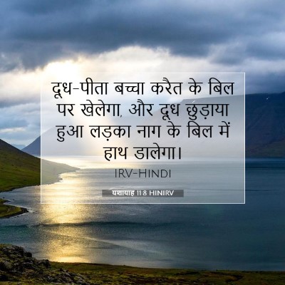 यशायाह 11:8 HINIRV बाइबल आयत इमेज