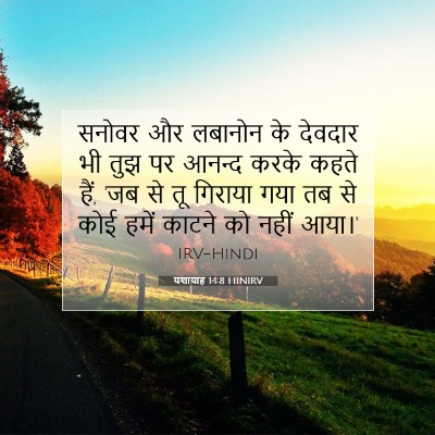 यशायाह 14:8 HINIRV बाइबल आयत इमेज