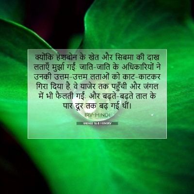 यशायाह 16:8 HINIRV बाइबल आयत इमेज