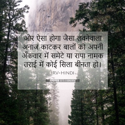 यशायाह 17:5 HINIRV बाइबल आयत इमेज