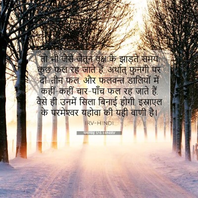 यशायाह 17:6 HINIRV बाइबल आयत इमेज
