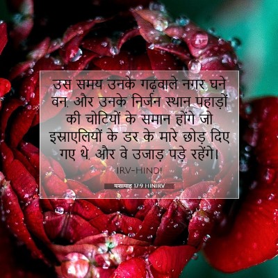 यशायाह 17:9 HINIRV बाइबल आयत इमेज
