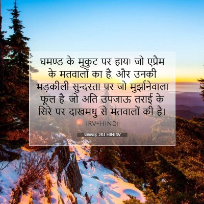 यशायाह 28:1 HINIRV बाइबल आयत इमेज