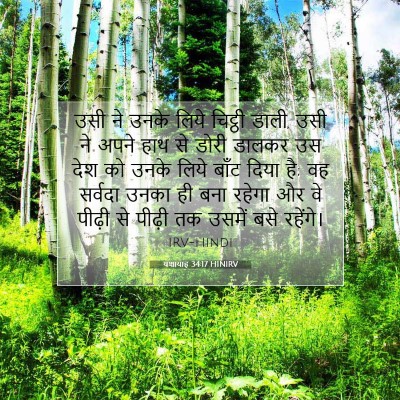 यशायाह 34:17 बाइबल आयत की व्याख्या