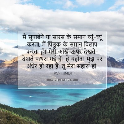 यशायाह 38:14 HINIRV बाइबल आयत इमेज