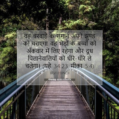 यशायाह 40:11 HINIRV बाइबल आयत इमेज