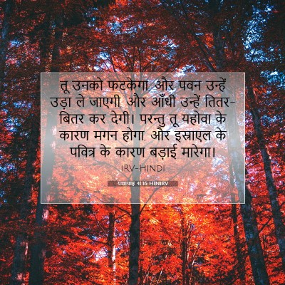 यशायाह 41:16 HINIRV बाइबल आयत इमेज