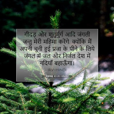 यशायाह 43:20 HINIRV बाइबल आयत इमेज
