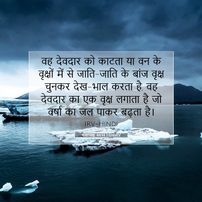 यशायाह 44:14 HINIRV बाइबल आयत इमेज