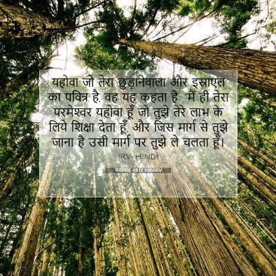 यशायाह 48:17 HINIRV बाइबल आयत इमेज