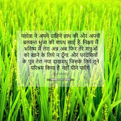 यशायाह 62:8 HINIRV बाइबल आयत इमेज