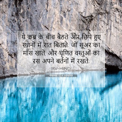 यशायाह 65:4 HINIRV बाइबल आयत इमेज