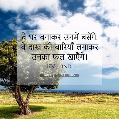 यशायाह 65:21 HINIRV बाइबल आयत इमेज