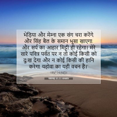 यशायाह 65:25 HINIRV बाइबल आयत इमेज