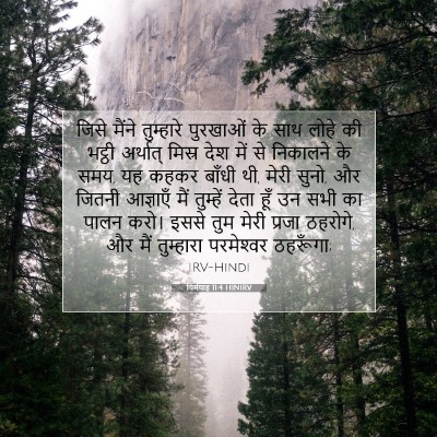 यिर्मयाह 11:4 बाइबल आयत की व्याख्या
