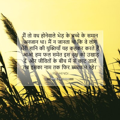 यिर्मयाह 11:19 HINIRV बाइबल आयत इमेज