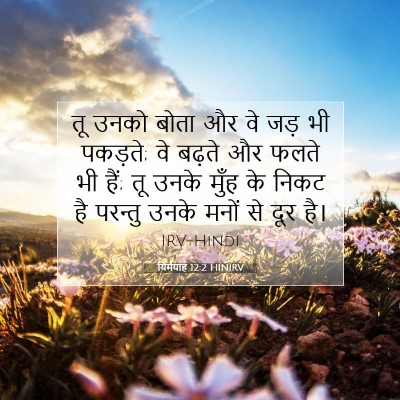 यिर्मयाह 12:2 बाइबल आयत की व्याख्या