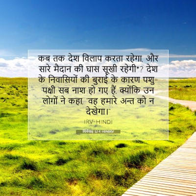 यिर्मयाह 12:4 HINIRV बाइबल आयत इमेज