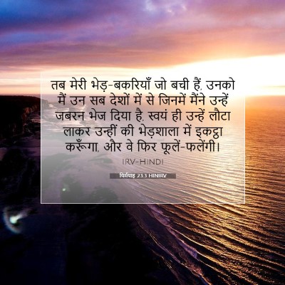 यिर्मयाह 23:3 HINIRV बाइबल आयत इमेज
