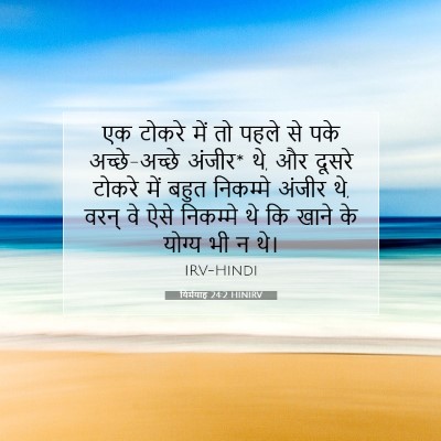 यिर्मयाह 24:2 बाइबल आयत की व्याख्या