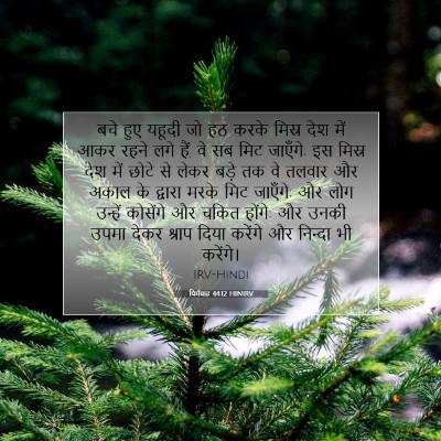 यिर्मयाह 44:12 HINIRV बाइबल आयत इमेज