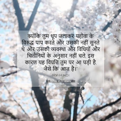 यिर्मयाह 44:23 HINIRV बाइबल आयत इमेज