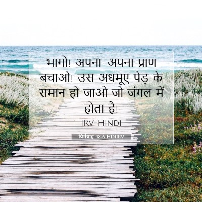 यिर्मयाह 48:6 HINIRV बाइबल आयत इमेज