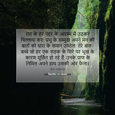 विलापगीत 2:19 HINIRV बाइबल आयत इमेज