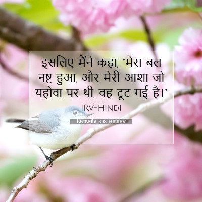 विलापगीत 3:18 HINIRV बाइबल आयत इमेज