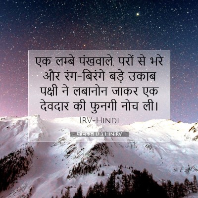 यहेजकेल 17:3 HINIRV बाइबल आयत इमेज