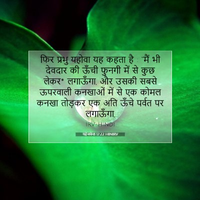 यहेजकेल 17:22 HINIRV बाइबल आयत इमेज