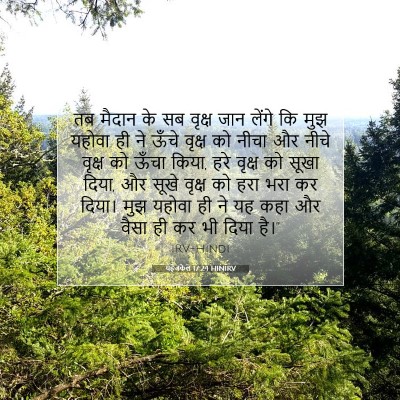 यहेजकेल 17:24 HINIRV बाइबल आयत इमेज