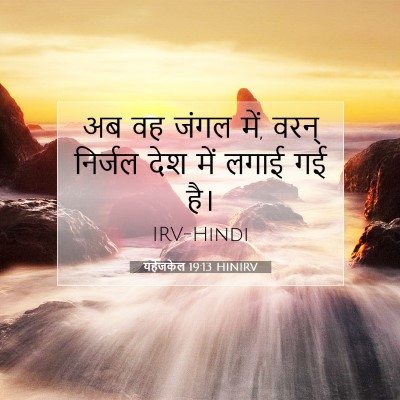 यहेजकेल 19:13 HINIRV बाइबल आयत इमेज