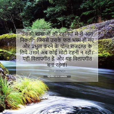 यहेजकेल 19:14 HINIRV बाइबल आयत इमेज
